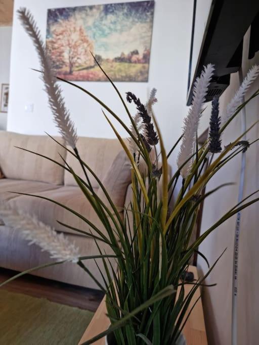 Gs Home Гитио Екстериор снимка